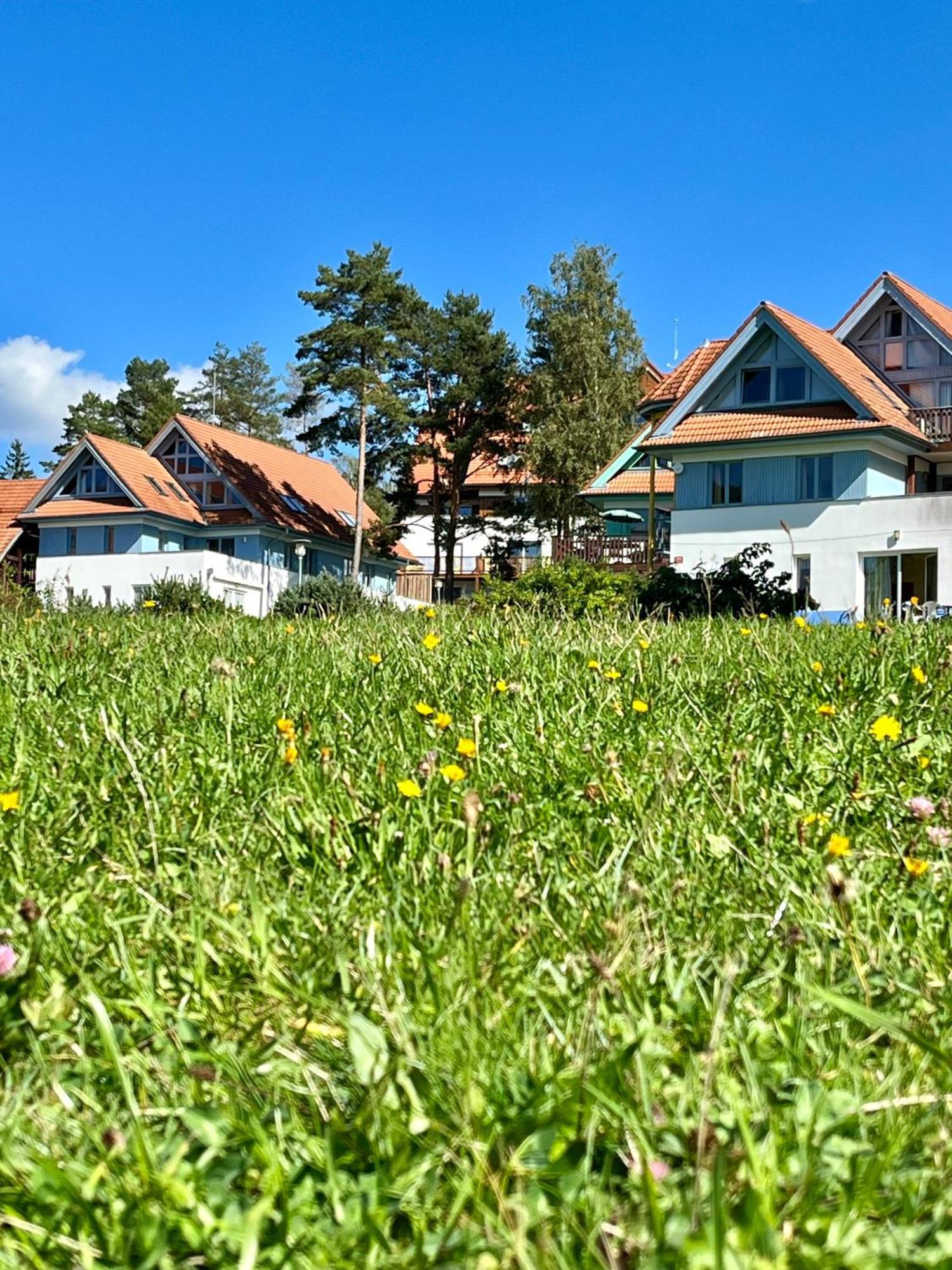 Lipno Beach Apartment 리프노나드비타보브 외부 사진